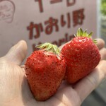 姫路ハートフル観光農園 - 