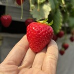 姫路ハートフル観光農園 - 