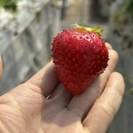 姫路ハートフル観光農園 - 