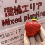 姫路ハートフル観光農園 - 