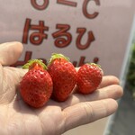 姫路ハートフル観光農園 - 