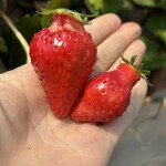 姫路ハートフル観光農園 - 