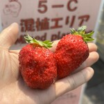 姫路ハートフル観光農園 - 