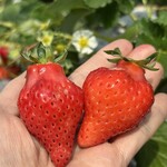 姫路ハートフル観光農園 - 