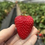 姫路ハートフル観光農園 - 