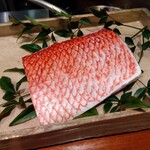 L'Arbre - 八丈島尾長鯛