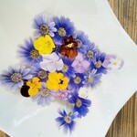 アンジュール - 