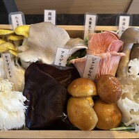 シャングリラズシークレット 銀座店 - 