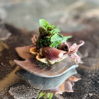 TSUSHIMI - 