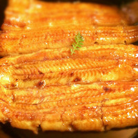 うなぎ秋本 - うな重 鶴
                あっさりと上品な味でした。
                母のうなぎも戴きましたが、うなぎによって当たりハズレがありそうでした。
                もちろん、ある程度のレベルは保っていますが。