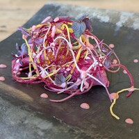 Terroir愛と胃袋 - 
