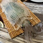 博多 なぎの木 - 