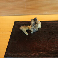 SUSHI TOKYO TEN、 - 