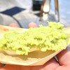 お茶の井ヶ田  仙台中央本店