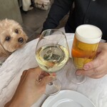 DAVELLO gastropub - 乾杯とくるみちゃん