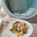 THE BLUE - 彩り野菜とイチジクの具沢山サラダ　フランボワーズビネガー