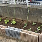 インデアンレストラン  ニューミラ - 