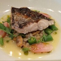 オーク ドア - 本日の魚のグリル
                    クラムバーリー フェンネル ディル
                    
