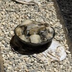 アニエルドール - 