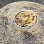 アニエルドール - 