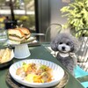 ル・プリスティン カフェ 東京
