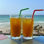 ナッティドレッド - 