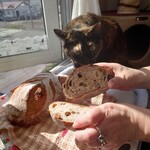 DAPAS - いい香りだニャー　いつもの猫のくだりでした