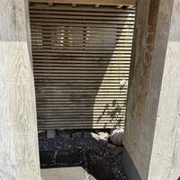 霜止出苗 - 