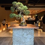 BONGENCOFFEE TOKYO  日本橋店 - 