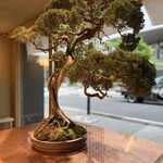 BONGENCOFFEE TOKYO  - 