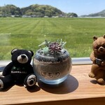 糸島食堂 ほもり - 