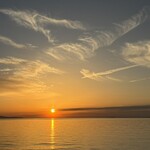 ガーブ コスタ オレンジ - 