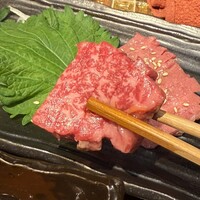 杏樹亭 - 