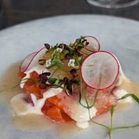 International cuisine subzero - 