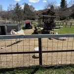 鷹山ファミリー牧場  - 