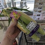 すいかの里 植木 - 