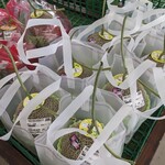 すいかの里 植木 - メロン