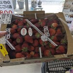 すいかの里 植木 - 