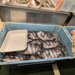 Queen's Mart ヤオマサ - 店内