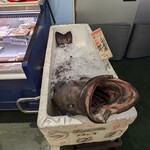 Queen's Mart ヤオマサ - 店内