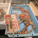 Queen's Mart ヤオマサ - 店内