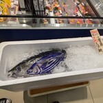 Queen's Mart ヤオマサ - 店内