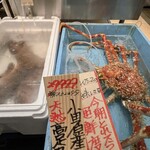 Queen's Mart ヤオマサ - 店内