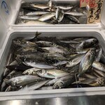 Queen's Mart ヤオマサ - 店内