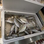 Queen's Mart ヤオマサ - 店内