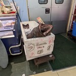 Queen's Mart ヤオマサ - 店内