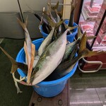 Queen's Mart ヤオマサ - 店内