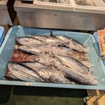 Queen's Mart ヤオマサ - 店内