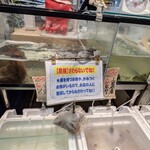 Queen's Mart ヤオマサ - 店内