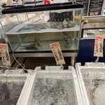 Queen's Mart ヤオマサ - 店内